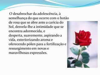 O desabrochar da adolescência, à
semelhança do que ocorre com o botão
de rosa que se abre ante a carícia do
Sol, desvela-lhe a intimidade que se
encontra adormecida, e
desperta, suavemente, aspirando a
vida, exteriorizando aroma e
oferecendo pólen para a fertilização e
ressurgimento em novas e
maravilhosas expressões.
 