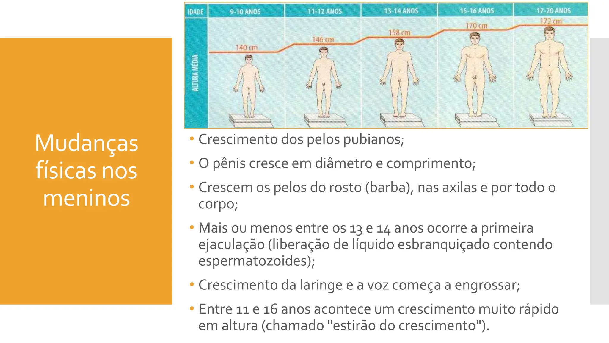 adolesc-ncia-e-puberdade-8-ano-pptx