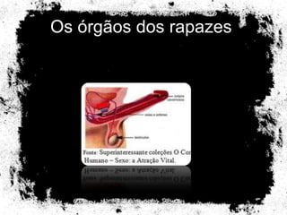 Os órgãos dos rapazes  