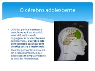 O cérebro adolescente


 Os lobos parietal e temporal
  associados às áreas espacial,
  sensorial, auditiva e da
  linguagem, se desenvolvem na
  adolescência... O cérebro está
  bem equipado para lidar com
  desafios sociais e intelectuais.
 O córtex pré-frontal ainda está
  em desenvolvimento, o que
  pode explicar a impulsividade e
  as decisões imprudentes.
 
