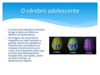 O cérebro adolescente

 O volume da substância cinzenta
  atinge o ápice na infância e
  diminui na adolescência
 As imagens de ressonância
  magnética ao lado mostram o
  grande volume de substância
  cinzenta (em vermelho) e os
  volumes menores (em azul e
  roxo). Essa sequência indica que
  as áreas que desempenham
  funções mais avançadas, como
  os lobos frontais, se
  desenvolvem depois.
 