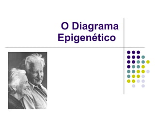 O Diagrama Epigenético  