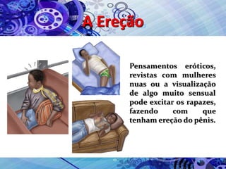 A Ereção
Pensamentos eróticos,
revistas com mulheres
nuas ou a visualização
de algo muito sensual
pode excitar os rapazes,
fazendo com que
tenham ereção do pênis.
 