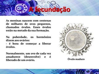 A fecundação
As meninas nascem com centenas
de milhares de ovos pequenos,
chamados óvulos. Esses óvulos
estão na metade da sua formação.
Na puberdade, os hormônios
dizem aos ovários:
- é hora de começar a liberar
óvulos.
Normalmente, um ovo de cada vez
amadurece (desenvolve) e é
liberado de um ovário. Óvulo maduro
 