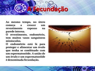 A Fecundação
Ao mesmo tempo, no útero
começa a crescer um
revestimento espesso na
parede interna.
O revestimento, endométrio,
tem muitos vasos sanguíneos
minúsculos.
O endométrio está lá para
proteger e alimentar um óvulo
que tenha se combinado com
um espermatozóide. A união de
um óvulo e um espermatozóide
é denominada fecundação.
 