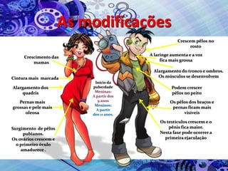 As modificações
Crescimento das
mamas
Cintura mais marcada
Alargamento dos
quadris
Pernas mais
grossas e pele mais
oleosa
Surgimento de pêlos
pubianos.
Os ovários crescem e
o primeiro óvulo
amadurece .
Crescem pêlos no
rosto
A laringe aumenta e a voz
fica mais grossa
Alargamento do tronco e ombros.
Os músculos se desenvolvem
Podem crescer
pêlos no peito
Os pêlos dos braços e
pernas ficam mais
visíveis
Os testículos crescem e o
pênis fica maior.
Nesta fase pode ocorrer a
primeira ejaculação
Início da
puberdade
Meninas:
A partir dos
9 anos
Meninos:
A partir
dos 11 anos.
 