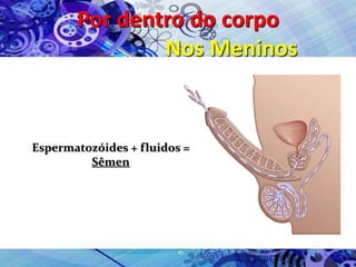 Por dentro do corpo
Nos Meninos
Espermatozóides + fluidos =
Sêmen
 