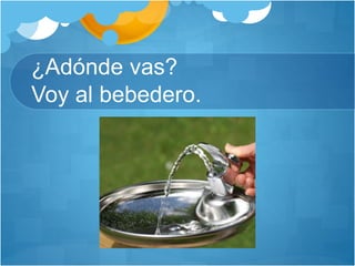 ¿Adónde vas?
Voy al bebedero.
 