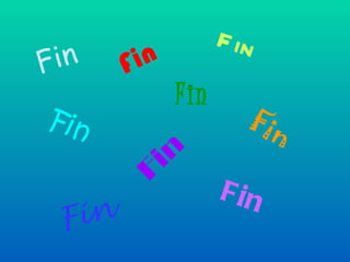 Fin Fin Fin Fin Fin Fin Fin Fin Fin