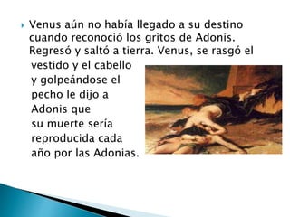  Venus aún no había llegado a su destino
cuando reconoció los gritos de Adonis.
Regresó y saltó a tierra. Venus, se rasgó el
vestido y el cabello
y golpeándose el
pecho le dijo a
Adonis que
su muerte sería
reproducida cada
año por las Adonias.