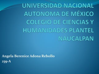 Angela Berenice Adona Rebollo
239-A
 