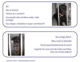 Oi!  Sou o Cosme!  Tenho só 1 aninho!! Essa grade não combina nada, nada comigo!  Sou alegre, simpático e super carinhoso!!! Sou amigo dele!!  Meu nome é Damião! Tenho aproximadamente 8 anos!! A gente fez essa cara de triste nas fotos, mas sou muito alegre!! Contato: Silvia -  sildamata@uol.com.br  