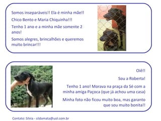 Somos inseparáveis!! Ela é minha mãe!!  Chico Bento e Maria Chiquinha!!! Tenho 1 ano e a minha mãe somente 2 anos! Somos alegres, brincalhões e queremos muito brincar!!! Oiê!! Sou a Roberta! Tenho 1 ano! Morava na praça da Sé com a minha amiga Paçoca (que já achou uma casa) Minha foto não ficou muito boa, mas garanto que sou muito bonita!! Contato: Silvia -  sildamata@uol.com.br  