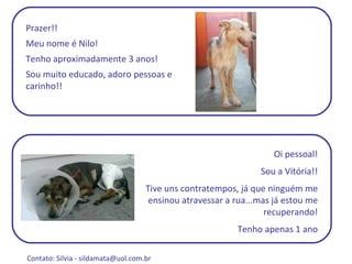 Prazer!! Meu nome é Nilo! Tenho aproximadamente 3 anos! Sou muito educado, adoro pessoas e carinho!! Oi pessoal! Sou a Vitória!! Tive uns contratempos, já que ninguém me ensinou atravessar a rua...mas já estou me recuperando! Tenho apenas 1 ano Contato: Silvia -  sildamata@uol.com.br  