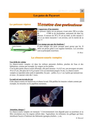 Ado Péï n°1 – octobre 2014 10
Les potes de Payavert
Le poisson vipère
L'apparence d'un monstre
Le poisson vipère est un poisson vivant entre 200 m et plus
de 4 000 m de profondeur, autrement dit dans les
abysses. Il mesure de 20 à 35 cm au total, sa tête mesure 2
cm et ses dents mesurent 1 cm environ, soit la moitié de sa
tête !!!
Il ne mange pas que des bonbons !
Il peut manger une proie presque aussi grosse que lui. Il
attire ses proies grâce à ses organes lumineux. Les crevettes
sont sa principale nourriture.
M. Blanc
La chauve-souris vampire
Une drôle de voisine
La chauve-souris vampire vit dans les milieux parsemés d'arbres, proches de l'eau et des
habitations, comme par exemple, les vergers ou les jardins.
C'est la plus petite chauve-souris d'Europe, elle peut mesurer : 6 à 8,5 cm, son envergure est entre
18 et 23 cm, elle pèse de 6 à 8 g et peut vivre au maximum jusqu'à 16 ans. La chauve-souris
vampire se reproduit entre août et septembre. En juin – juillet, il y a 1 ou 2 petits qui naissent nus
et roses ; ils sauront voler dès 1 mois.
La nuit est son terrain de jeu
Cette chauve-souris est insectivore et chasse la nuit. Elle préfère les insectes volants comme par
exemple, les mouches ou les papillons nocturnes.
Attention, danger !
La chauve-souris vampire est menacée ! L'environnement s'est dégradé pour sa nourriture et sa
libre circulation avec les engrais utilisés dans l'agriculture, les éoliennes, les grillages qui leurs
interdisent l'accès à l'intérieur des bâtiments (granges,clochers...), etc.
B. Mussard
 