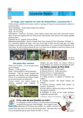 9 Ado Péï n°2 – décembre 2014
Les potes de Payavert
Le loup, une espèce en voie de disparition ; sauvons-les !
Utilisé comme symbole de la nature cruelle et sauvage, le loup est souvent présenté comme un
cousin du chien.
Nom scientifique : Cannis lupus (espèce des canidés)
Taille : De 50 à 80 cm
Poids : De 18 à 38 kg
Alimentation : Carnivore. Au menu : souris, lapins, castors mais aussi cerfs, chevreuils, rennes,
élans. Ils peuvent engloutir plus de 10 kg en une seule journée, mais aussi ne rien manger pendant
plusieurs jours.
Espérance de vie : jusqu'à 10 ans en liberté
Répartition géographique : Russie, Canada, États-Unis, Europe de l'Est ( Roumanie, Finlande...)
Il y a plusieurs espèces de loups ; ceux qui vivent dans la forêt sont les loups gris. Les loups
arctiques vivent dans les pays froids, ce sont les loups blancs. Il y a aussi le loup d'Abyssinie et le
loup rouge, ils sont les plus menacés de tous. Les loups sont en danger à cause de la chasse et de
la destruction de leurs habitats pour les terres agricoles.
Au pays des rennes
Taille avec la queue : 2,2 m (un peu moins
que le Caribou)
Hauteur : 1,10m au garrot
Poids : 150 kg (mâle) et 100 kg (femelle)
Nourriture : l'été les rennes mangent des
graminées, des feuilles et des champignons.
L'hiver ils se nourrissent de lichens (espèce
de mousse) terrestre ou arboricoles.
Univers sonore : Les rennes comme les
caribous grognent pour s'appeler et
s’identifier.
Adaptés aux pays froids : les rennes vivent en
Europe/Sibérie, les caribous en Amérique du nord.
Les fidèles rennes du Père Noël
● Tornade (Dasher) : le plus rapide ;
● Danseur (Dancer) : la plus gracieuse ;
● Furie (Prancer) : le plus puissant ;
● Fringant (Vixen) : belle et puissante ;
● Comète (Comet) : il apporte le bonheur aux
enfants ;
● Cupidon (Cupid) : elle amène l'amour aux
enfants ;
● Tonnerre (Donner, parfois écrit Dunder ou
Donder) : le plus fort ;
● Éclair (Blitzen, parfois écrit Blixem ou Blixen) :
elle apporte la lumière ;
● Rudolphe, le renne au nez rouge lumineux
n'apparaîtra que plus tard.
J. Berthelot, C. Mortier et M. Darengosse
Il n'y a pas de quoi fouetter un chat !
En métropole, à Seine-et-Marne, à la télé et dans les journaux
on parlait d'un tigre qui s'était échappé... On a traqué ce tigre
pendant plus de 24 heures sans résultat ! Le comble, c'est qu'il se
pourrait bien que celui-ci ne soit en fait qu'un gros chat... Sauvage certes, mais
il n'y avait peut-être pas de quoi fouetter un chat ! C. Atiama
J. Berthelot
et C. Mortier
Flash InfoFlash Info
Loup gris
CaribouRenne
Loup blanc Loup d'Abyssinie Loup rouge
© Bérénice
Mussard
 