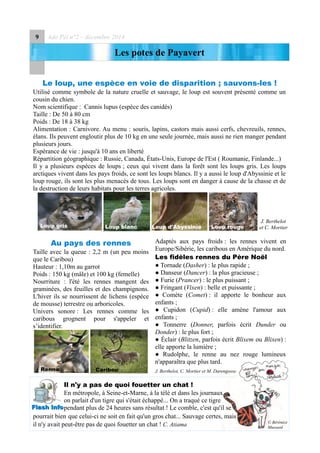 9 Ado Péï n°2 – décembre 2014
Les potes de Payavert
Le loup, une espèce en voie de disparition ; sauvons-les !
Utilisé comme symbole de la nature cruelle et sauvage, le loup est souvent présenté comme un
cousin du chien.
Nom scientifique : Cannis lupus (espèce des canidés)
Taille : De 50 à 80 cm
Poids : De 18 à 38 kg
Alimentation : Carnivore. Au menu : souris, lapins, castors mais aussi cerfs, chevreuils, rennes,
élans. Ils peuvent engloutir plus de 10 kg en une seule journée, mais aussi ne rien manger pendant
plusieurs jours.
Espérance de vie : jusqu'à 10 ans en liberté
Répartition géographique : Russie, Canada, États-Unis, Europe de l'Est ( Roumanie, Finlande...)
Il y a plusieurs espèces de loups ; ceux qui vivent dans la forêt sont les loups gris. Les loups
arctiques vivent dans les pays froids, ce sont les loups blancs. Il y a aussi le loup d'Abyssinie et le
loup rouge, ils sont les plus menacés de tous. Les loups sont en danger à cause de la chasse et de
la destruction de leurs habitats pour les terres agricoles.
Au pays des rennes
Taille avec la queue : 2,2 m (un peu moins
que le Caribou)
Hauteur : 1,10m au garrot
Poids : 150 kg (mâle) et 100 kg (femelle)
Nourriture : l'été les rennes mangent des
graminées, des feuilles et des champignons.
L'hiver ils se nourrissent de lichens (espèce
de mousse) terrestre ou arboricoles.
Univers sonore : Les rennes comme les
caribous grognent pour s'appeler et
s’identifier.
Adaptés aux pays froids : les rennes vivent en
Europe/Sibérie, les caribous en Amérique du nord.
Les fidèles rennes du Père Noël
● Tornade (Dasher) : le plus rapide ;
● Danseur (Dancer) : la plus gracieuse ;
● Furie (Prancer) : le plus puissant ;
● Fringant (Vixen) : belle et puissante ;
● Comète (Comet) : il apporte le bonheur aux
enfants ;
● Cupidon (Cupid) : elle amène l'amour aux
enfants ;
● Tonnerre (Donner, parfois écrit Dunder ou
Donder) : le plus fort ;
● Éclair (Blitzen, parfois écrit Blixem ou Blixen) :
elle apporte la lumière ;
● Rudolphe, le renne au nez rouge lumineux
n'apparaîtra que plus tard.
J. Berthelot, C. Mortier et M. Darengosse
Il n'y a pas de quoi fouetter un chat !
En métropole, à Seine-et-Marne, à la télé et dans les journaux
on parlait d'un tigre qui s'était échappé... On a traqué ce tigre
pendant plus de 24 heures sans résultat ! Le comble, c'est qu'il se
pourrait bien que celui-ci ne soit en fait qu'un gros chat... Sauvage certes, mais
il n'y avait peut-être pas de quoi fouetter un chat ! C. Atiama
J. Berthelot
et C. Mortier
Flash InfoFlash Info
Loup gris
CaribouRenne
Loup blanc Loup d'Abyssinie Loup rouge
© Bérénice
Mussard
 