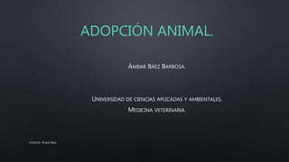 ADOPCIÓN ANIMAL.
ÁMBAR BÁEZ BARBOSA.
UNIVERSIDAD DE CIENCIAS APLICADAS Y AMBIENTALES.
MEDICINA VETERINARIA.
24/03/16. Ámbar Báez.
 