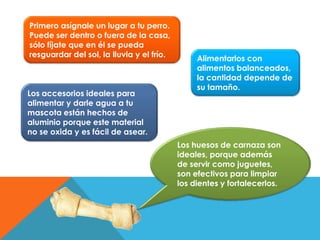 Primero asígnale un lugar a tu perro.
Puede ser dentro o fuera de la casa,
sólo fíjate que en él se pueda
resguardar del sol, la lluvia y el frío.
Los accesorios ideales para
alimentar y darle agua a tu
mascota están hechos de
aluminio porque este material
no se oxida y es fácil de asear.
Los huesos de carnaza son
ideales, porque además
de servir como juguetes,
son efectivos para limpiar
los dientes y fortalecerlos.
Alimentarlos con
alimentos balanceados,
la cantidad depende de
su tamaño.
 