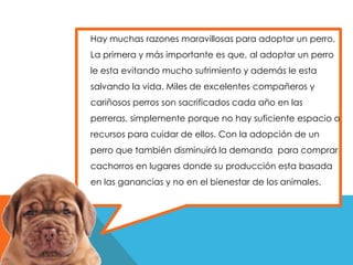 Hay muchas razones maravillosas para adoptar un perro.
La primera y más importante es que, al adoptar un perro
le esta evitando mucho sufrimiento y además le esta
salvando la vida. Miles de excelentes compañeros y
cariñosos perros son sacrificados cada año en las
perreras, simplemente porque no hay suficiente espacio o
recursos para cuidar de ellos. Con la adopción de un
perro que también disminuirá la demanda para comprar
cachorros en lugares donde su producción esta basada
en las ganancias y no en el bienestar de los animales.
 