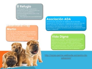 El Refugio
(Cieneguilla) Para adopciones y
entrega de ayuda comunicarse con
Giuliana Farina al 4490923 //
infoadoptamigo@yahoo.com // Ver
fotos de perritos
en: http://groups.msn.com/ADOPTAMI
GO
Vida Digna
(Huachipa) Asociación Humanitaria para un Trato
Digno a los Animales. Vida Digna promueve el
bienestar de todos los animales y fomenta el
respeto, la comprensión y compasión por todos
ellos. Asociación joven, que cuenta con asociados
y voluntarios entusiastas unidos por el amor a los
animales y la preocupación por su bienestar.
Asociación ADA
(Chaclacayo) Asociación en Defensa de los Animales.
Agrupación sin fines de lucro, integrada por personas que de
forma voluntaria se dedican a aminorar el sufrimiento de
animales en total abandono (dentro de sus posibilidades)
ubicándolos en lugares transitorios para su recuperación hasta
lograr su adopción.
Veterinaria Fray
Martin
(Cercado de Lima) MascotaBusca es una iniciativa
de tu Veterinaria "Fray Martín", los encuentras en Jr.
López Albújar 1770 Urb. Las Brisas, Lima. Tel: 425-
8533 Cel: 9935-8184 o escríbeles a
talialot01@yahoo.es, talialot@hotmail.com VER
FOTOS DE SUS ANIMALES EN ADOPCIÓN:
http//www.mascotabusca.com
http://razas-perros.webnode.es/centro-de-
adopcion/
 