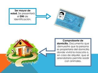 Ser mayor de
edad. Se presentará
el DNI de
identificación.
Comprobante de
domicilio. Documento que
demuestre que la persona
es propietaria del domicilio
donde vivirá la mascota o,
en caso de alquiler, que el
arrendatario permite residir
con animales.
 