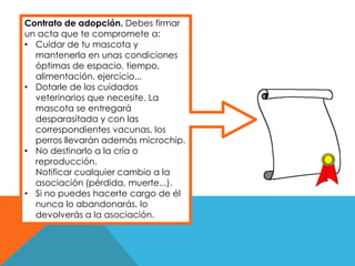 Contrato de adopción. Debes firmar
un acta que te compromete a:
• Cuidar de tu mascota y
mantenerla en unas condiciones
óptimas de espacio, tiempo,
alimentación, ejercicio...
• Dotarle de los cuidados
veterinarios que necesite. La
mascota se entregará
desparasitada y con las
correspondientes vacunas, los
perros llevarán además microchip.
• No destinarlo a la cría o
reproducción.
Notificar cualquier cambio a la
asociación (pérdida, muerte...).
• Si no puedes hacerte cargo de él
nunca lo abandonarás, lo
devolverás a la asociación.
 