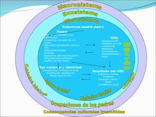 Macrosistema Exosistema Microsistema Madre Empatia, sensibilidad a las indicaciones. Autoestima, concepto de uno mismo. Paternidad considerada como un niño. Madurez/flexibilidad. Actitudes. Experiencia del embarazo/parto.  Salud/depresión/ansiedad. Conflicto de rol/ fuerza. Rol maternal / identidad Competencia/ confianza en el rol Gratificación /satisfacción Afecto hacia el niño Niño Temperamento Habilidad para dar indicaciones Apariencia Características Responsabilidad Salud Resultado del niño Cognitivo / mental Evolutivo Conducta / afecto Salud Competencia social Relaciones   madre-padre Apoyo social Dinàmica familiar Estrés Colegio Cuidados bàsicos Ocupaciones de los padres Consecuencias culturales trasmitidas 