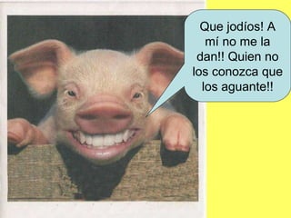 Que jodíos! A mí no me la dan!! Quien no los conozca que los aguante!!