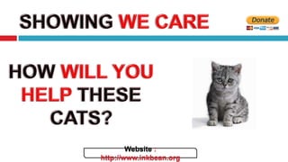 Website :
http://www.inkbean.org