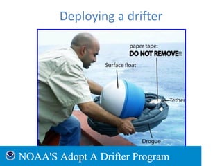 Deploying a drifter
 