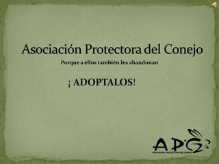 Asociación Protectora del Conejo Porque a ellos también les abandonan ¡ ADOPTALOS! 