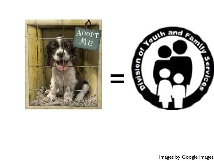 Rabies Prevention In Humans Naturally Rabies Prevention In Humans Naturally