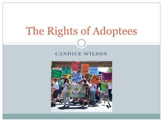 The Rights of Adoptees
     CANDICE WILSON
 