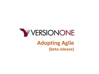 Adopting Agile
    (beta release)
 