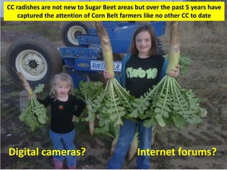 CC radishes are not new to Sugar Beet areas but over the past 5 years have
captured the attention of Corn Belt farmers like no other CC to date
Digital cameras? Internet forums?
 