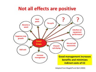 ? ?
Increase
management
Host
pests
Become a
weed
Prevent
soil drying
Dry out soil
excessively
Interfere w/
equipment
performance
Suppress crop
growth
Tie up N
Add cost
Cover
Crops
Adapted from Magdoff and Weil (2004)
Not all effects are positive
Good management increases
benefits and minimizes
indirect costs of CC
 