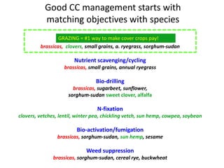 Grazing
brassicas, clovers, small grains, a. ryegrass, sorghum-sudan
Nutrient scavenging/cycling
brassicas, small grains, annual ryegrass
Bio-drilling
brassicas, sugarbeet, sunflower,
sorghum-sudan sweet clover, alfalfa
N-fixation
clovers, vetches, lentil, winter pea, chickling vetch, sun hemp, cowpea, soybean
Bio-activation/fumigation
brassicas, sorghum-sudan, sun hemp, sesame
Weed suppression
brassicas, sorghum-sudan, cereal rye, buckwheat
GRAZING = #1 way to make cover crops pay!
Good CC management starts with
matching objectives with species
 