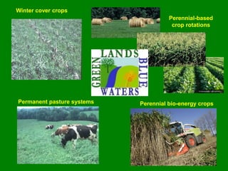 Perennial-based
crop rotations
Perennial bio-energy cropsPermanent pasture systems
Winter cover crops
 