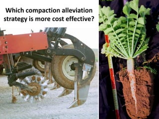 Which compaction alleviation
strategy is more cost effective?
 
