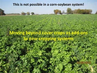 Moving beyond cover crops as add-ons
to new cropping systems
This is not possible in a corn-soybean system!
 