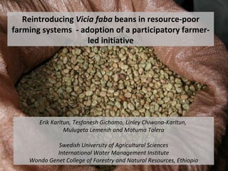 Reintroducing  Vicia faba  beans in resource-poor farming systems  - adoption of a participatory farmer-led initiative Erik Karltun, Tesfanesh Gichamo, Linley Chiwona-Karltun,  Mulugeta Lemenih and Motuma Tolera Swedish University of Agricultural Sciences International Water Management Institute Wondo Genet College of Forestry and Natural Resources, Ethiopia 