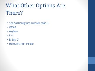 What Other Options Are
There?
• Special Immigrant Juvenile Status
• VAWA
• Asylum
• F-1
• B-1/B-2
• Humanitarian Parole
 
