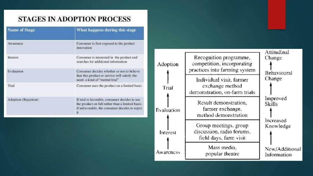 Adoption process and stages