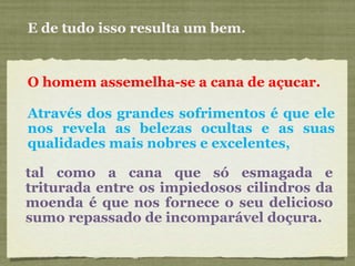 E de tudo isso resulta um bem. O homem assemelha-se a cana de açucar. Através dos grandes sofrimentos é que ele nos revela as belezas ocultas e as suas qualidades mais nobres e excelentes, tal como a cana que só esmagada e triturada entre os impiedosos cilindros da moenda é que nos fornece o seu delicioso sumo repassado de incomparável doçura. 