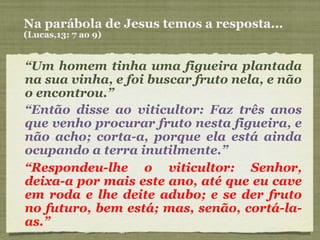 Na parábola de Jesus temos a resposta... (Lucas,13: 7 ao 9) “ Um homem tinha uma figueira plantada na sua vinha, e foi buscar fruto nela, e não o encontrou.” “ Então disse ao viticultor: Faz três anos que venho procurar fruto nesta figueira, e não acho; corta-a, porque ela está ainda ocupando a terra inutilmente.” “ Respondeu-lhe o viticultor: Senhor, deixa-a por mais este ano, até que eu cave em roda e lhe deite adubo; e se der fruto no futuro, bem está; mas, senão, cortá-la-as.” 