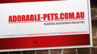 Adorable Pets Provide Dog toys, Cat toys and Bird toys in Australia