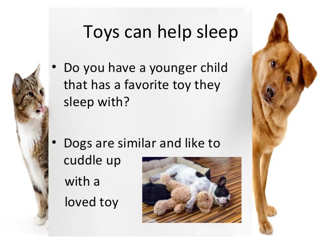 Noises Dogs Make When They Sleep Noises Dogs Make When They Sleep
