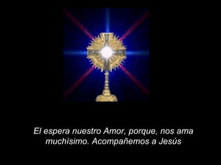 El espera nuestro Amor, porque, nos ama muchísimo. Acompañemos a Jesús 