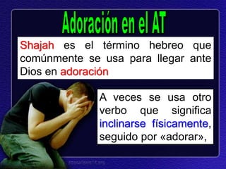 A veces se usa otro
verbo que significa
inclinarse físicamente,
seguido por «adorar»,
Shajah es el término hebreo que
comúnmente se usa para llegar ante
Dios en adoración
 